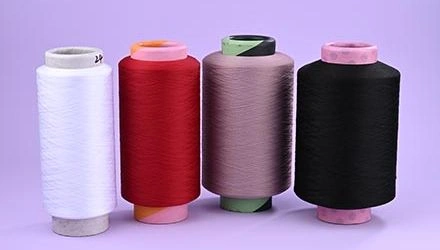 Polypropylene Draw Textured Elastic Yarn (PP DTY Yarn)