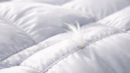 Down Proof Sewing Thread Wholesale