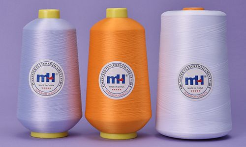 Sợi Polyester Texture / Overlock Thread